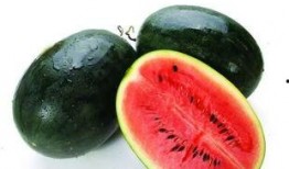 宁波网红陈小姐吃瓜,揭秘幕后真相与网络热议